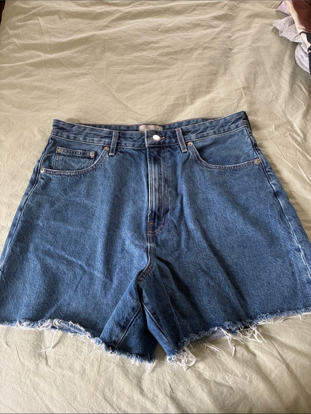 Everlane A-Line Denim Short - 32